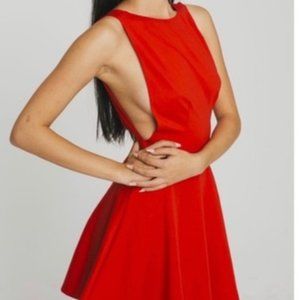 American Apparel Red Skater Dress Large